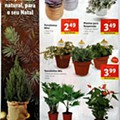 antevisão folheto Lidl 2 a 8 novembro_20.jpg